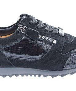 Hassia 301916 zwart